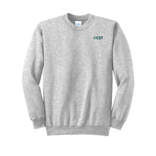 CST Port & Company Crewneck Sweatshirt